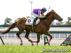 カラープリント(アルミ枠付き)2016年3月13日中京4R 障害未勝利(ニューコネクション)