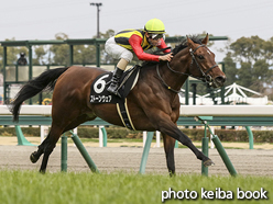 カラープリント(アルミ枠なし)2016年3月13日中京12R 賢島特別(ストーンウェア)