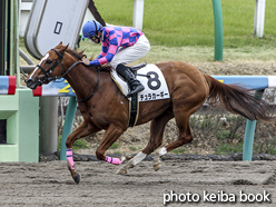 カラープリント(アルミ枠なし)2016年3月13日中山2R 3歳未勝利(チュラカーギー)