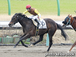 カラープリント(アルミ枠付き)2016年3月13日中山8R 4歳上500万下(ツウローゼズ)