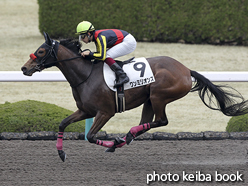 カラープリント(アルミ枠なし)2016年3月19日阪神3R 3歳未勝利(ワンミリオンス)