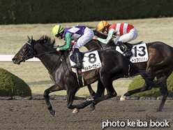 カラープリント(アルミ枠付き)2016年3月19日阪神12R 4歳上500万下(ハトマークエース)