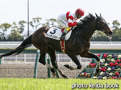 カラープリント(アルミ枠付き)2016年3月19日中京4R 障害未勝利(ダノンウィスラー)