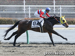 カラーパネル2016年3月19日中京6R 3歳未勝利(タマモアルム)