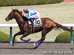 カラープリント(アルミ枠付き)2016年3月20日阪神2R 3歳未勝利(ロマンチスト)