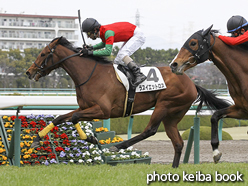 カラーパネル2016年3月20日阪神5R 3歳未勝利(ラスイエットロス)