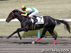 カラーパネル2016年3月20日阪神7R 4歳上500万下(タイマツリ)