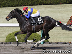 カラープリント(アルミ枠なし)2016年3月20日阪神9R 吹田特別(エアカミュゼ)