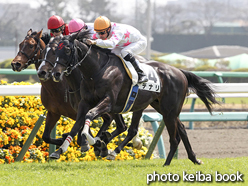 カラーパネル2016年3月20日中山5R 3歳未勝利(デナリ)