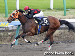 カラープリント(アルミ枠なし)2016年3月20日中山10R 千葉ステークス(ブルドッグボス)