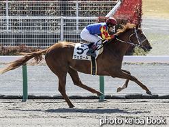 カラーパネル2016年3月21日中京2R 3歳未勝利(ヴェゼール)