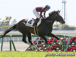 カラープリント(アルミ枠なし)2016年3月21日中京4R 障害未勝利(コンコード)