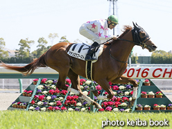 カラープリント(アルミ枠なし)2016年3月21日中京5R 3歳未勝利(マテンロウゴースト)