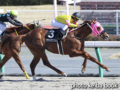 カラーパネル2016年3月21日中京9R 沈丁花賞(コウエイエンブレム)