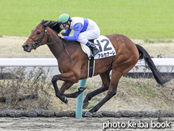 カラープリント(アルミ枠なし)2016年3月21日中山1R 3歳未勝利(アルセナーレ)