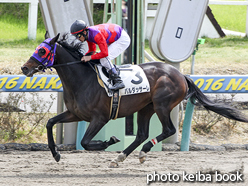 カラープリント(アルミ枠なし)2016年3月21日中山3R 3歳未勝利(バルダッサーレ)