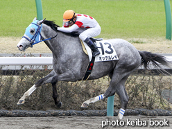 カラープリント(アルミ枠なし)2016年3月21日中山4R 3歳500万下(ミッテルレギ)