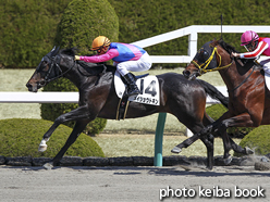 カラーパネル2016年3月26日阪神3R 3歳未勝利(メイショウトキン)