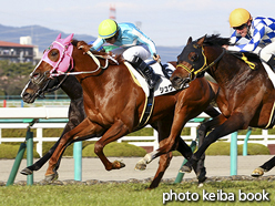 カラープリント(アルミ枠付き)2016年3月26日阪神12R 4歳上1000万下(シュヴァリエ)