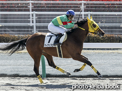 カラーパネル2016年3月26日中京1R 3歳未勝利(ティアップヒート)