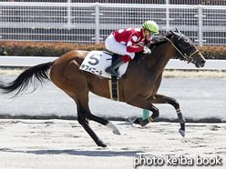 カラープリント(アルミ枠なし)2016年3月26日中京4R 3歳未勝利(デフィニール)