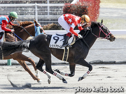 カラープリント(アルミ枠なし)2016年3月26日中京7R 4歳上500万下(レッドアライヴ)