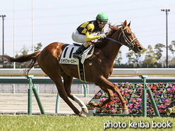 カラープリント(アルミ枠なし)2016年3月26日中京8R 4歳上500万下(ビオラフォーエバー)