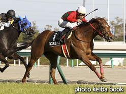 カラーパネル2016年3月26日中京12R 刈谷特別(コスモヨハネ)