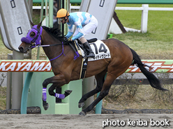 カラープリント(アルミ枠なし)2016年3月26日中山7R 4歳上500万下(ネイティヴコード)