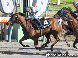 カラープリント(アルミ枠付き)2016年3月26日中山10R 春風ステークス(モルジアナ)