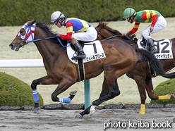 カラープリント(アルミ枠なし)2016年3月27日阪神3R 3歳未勝利(フィールブリーズ)