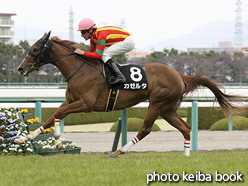 カラープリント(アルミ枠付き)2016年3月27日阪神9R 四国新聞杯(カゼルタ)