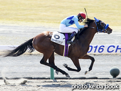 カラーパネル2016年3月27日中京1R 3歳未勝利(エバーチェンジング)