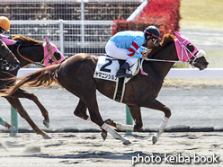 カラープリント(アルミ枠なし)2016年3月27日中京2R 3歳未勝利(ヤマニンシルフ)