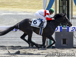 カラーパネル2016年3月27日中京5R 4歳上500万下(ダノンアンビシャス)