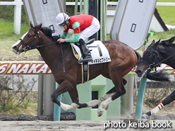 カラープリント(アルミ枠付き)2016年3月27日中山5R 3歳500万下(マイネルビクトリー)