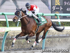 カラープリント(アルミ枠付き)2016年3月27日中山11R マーチステークス(ショウナンアポロン)