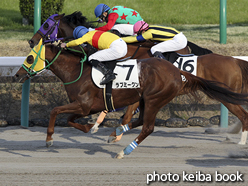 カラープリント(アルミ枠付き)2016年3月27日中山12R 4歳上1000万下(ラブミークン)