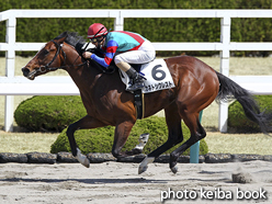 カラープリント(アルミ枠なし)2016年4月2日阪神2R 3歳未勝利(カネトシクレスト)