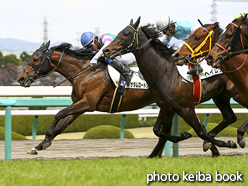 カラープリント(アルミ枠なし)2016年4月2日阪神6R 4歳上500万下(サダムロードショー)