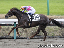 カラーパネル2016年4月2日中山12R 4歳上500万下(ヴェアリアスサマー)