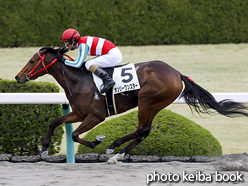 カラープリント(アルミ枠付き)2016年4月3日阪神1R 3歳未勝利(オンリーワンスター)