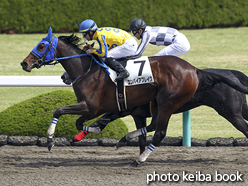 カラープリント(アルミ枠なし)2016年4月9日阪神1R 3歳未勝利(エンパイアブレイク)