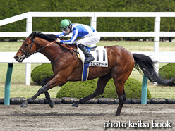 カラープリント(アルミ枠なし)2016年4月9日阪神3R 3歳未勝利(アルコステラート)