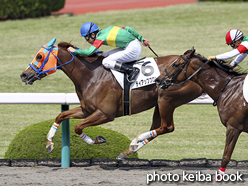 カラーパネル2016年4月9日阪神7R 4歳上500万下(ティアップブロンド)