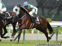 カラープリント(アルミ枠付き)2016年4月9日阪神9R 白鷺特別(デンコウインパルス)