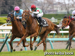 カラープリント(アルミ枠なし)2016年4月9日中山9R 野島崎特別(アカネイロ)