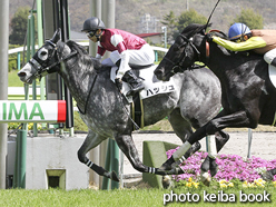 カラープリント(アルミ枠なし)2016年4月9日福島8R 4歳上500万下(ハッシュ)