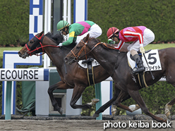 カラープリント(アルミ枠なし)2016年4月10日阪神3R 3歳未勝利(タガノインペーロ)