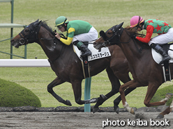 カラープリント(アルミ枠なし)2016年4月10日阪神5R 3歳500万下(スズカミラージュ)